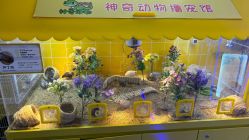 -神奇动物撸宠馆·羊驼·小浣熊·异宠(豫园店)