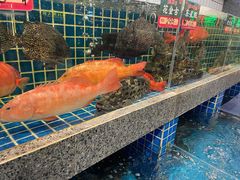 -飞尝蚝·顺德菜·鱼生(顺德总店)