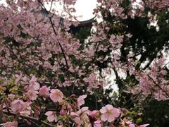 -堤角公园