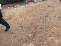 -秀丽东方