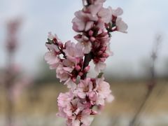 -清真·马洪小炒泡馍馆(钟楼回民街店)