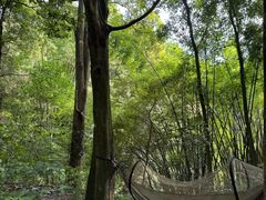 -峨眉山报国寺