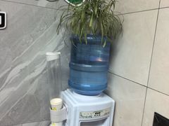 -半岛宠物医院24小时(白果林店)