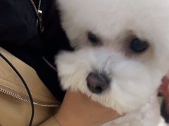 -FAELING PETS美天灵宠物(富力广场店)