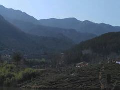 -木兰云雾山