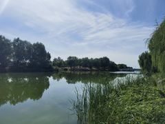 -马家湾湿地公园