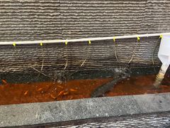 -陈府大宅门成都火锅·手切鲜肉(太原街店)
