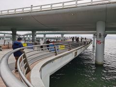 -演武大桥观景平台