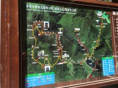 -清溪森林公园