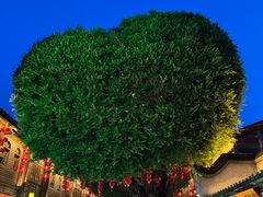 -同利肉燕老铺(澳门路店)