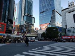 -涩谷区