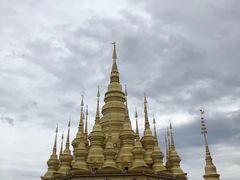 -西双版纳原始森林公园