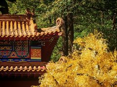 -青岩寺风景区