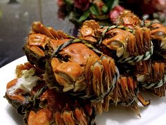 -新光酒家·河豚·海鲜·蟹料理(浦东店)