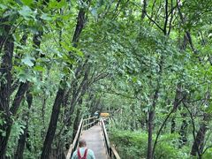 -吉林市朱雀山国家森林公园