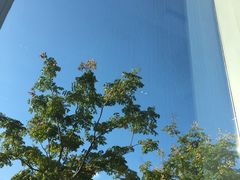 -上海浦东康桥绿地假日酒店