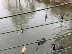 -长白岛森林公园