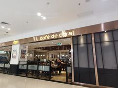 -大家乐(深圳中信店)