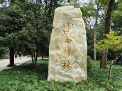 -灵谷景区