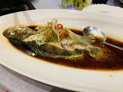 清蒸桂鱼-A One Kitchen·南京精菜馆(晶丽酒店店)