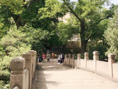 -北京凤凰岭