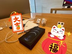 -Apple零售店(玄武湖店)