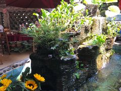 -园林美食城·本土农家菜(杨和镇店)