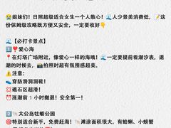 -日照灯塔风景区