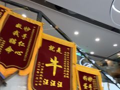 -半岛宠物医院24小时·内窥镜·牙科·碎石中心(府城大道店)