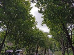 -飞凤山奥体公园