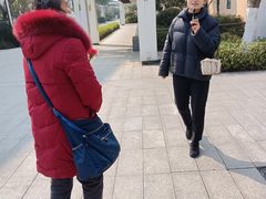 -国寿嘉园·苏州雅境