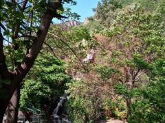-京东石林峡风景区