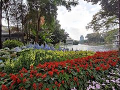 -荔湾湖公园