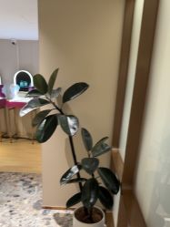 -北京漾格医疗美容医院