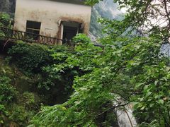 -大鄣山卧龙谷景区