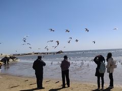 -老虎石海上公园