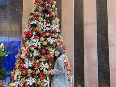 -北京朝阳悠唐皇冠假日酒店