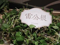 -瑶王府·广西菜(金阳路店)