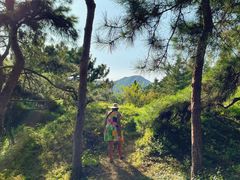 -国家植物园南园