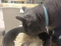 -小时光咖啡馆(开森度假森林店)