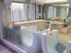 -宝媛会月子中心(越秀店)
