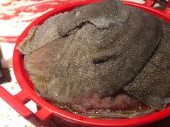 -二荆条·蜀鲜汇城市森林火锅