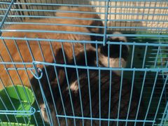 -山东嘉汇文化用品有限公司张店凤凰国际分公司(新村西路店)