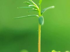 -兆丰海鲜烧烤涮自助(丰南总店)