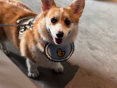 -来回·咖啡(钟村咖啡豆店)