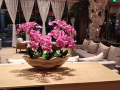 -上海佘山世茂艾美酒店