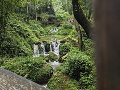 -青城山