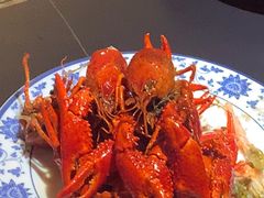 -京悦南门涮羊肉·羊蝎子火锅(田林路店)