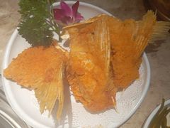 -淘米捞·米汤脆鲩鱼火锅(福田皇岗店)