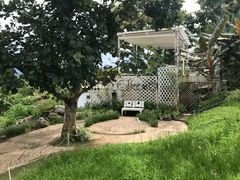 -黄色小屋